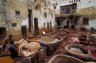 Tanneries, Fés, MOROCCO