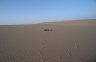 Balázs Buzás in the Sahara, near Siwa Oasis, Western Desert, EGYPT. Photo: Albert Fábián