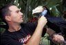 Balazs Buzas with Wreathed Hornbill (<em>Aceros undulatus</em>) female, Bali Bird Park, Bali, INDONESIA. Photo: Eszter Gulyas.