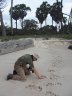 Balázs Buzás studying Hippo (<em>Hippoppotamus amphibius</em>) tracks, Loango National Park, GABON. Photo: Pál Aczél