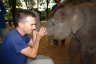 <p>Balázs Buzás with juv. Asian Elephant (<em>Elephas maximus</em>), Kanchanaburi, THAILAND</p>