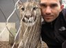 Balazs Buzas with Cougar (<em>Puma concolor</em>) male, Rare Species Conservation Centre, Sandwich, UNITED KINGDOM