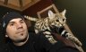 Balazs Buzas with Black-footed Cat (<em>Felis nigripes</em>) semi-adult female, Rare Species Conservation Centre, Sandwich, UNITED KINGDOM