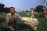 <p>Snake-charmer with Indian Cobra (<em>Naja naja</em> ssp.) near India Gate, Delhi, INDIA