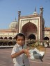 Feral Pigeon (<em>Columba livia domestica</em>), Jama Masjid, Delhi, INDIA