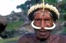 <p>Dani tribesman, pig festival, Kilise (1836 m), Baliem Gorge, Papua, INDONESIA</p>