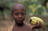 Baoule boy with Cacao (<em>Theobroma cacao</em>), Alikron village, 20 km E of Yamoussoukro, CÔTE D’IVOIRE (IVORY COAST)