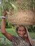 Local woman, Sarnath, near Varanasi, INDIA