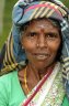 Tea picker woman, Blue Field Tea Factory, Ramboda, SRI LANKA