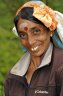 Tea picker woman, Blue Field Tea Factory, Ramboda, SRI LANKA