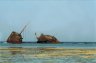 Wreck of the „Maria Schroeder“, Nabq National Park, Sinai Peninsula, EGYPT