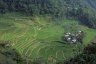 Rice Terraces of the Philippine Cordilleras, Batad, Central-Luzon, PHILIPPINES