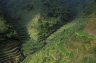 Rice Terraces of the Philippine Cordilleras, Batad, Central-Luzon, PHILIPPINES