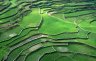 Rice Terraces of the Philippine Cordilleras, Batad, Central-Luzon, PHILIPPINES