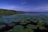 Lake Rwihinda (Mutwenzi NR), N of Kirundo, BURUNDI