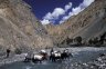Horses are crossing the Markha River (3832 m), near Markha, Markha Valley, LADAKH, GPS: N 33.52.3.63, E 77.27.0.14