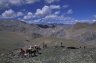 Horsemens, (4500 m), 2 km E of Tahungtse, LADAKH