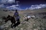 Horsemens, (4500 m), 2 km E of Tahungtse, LADAKH