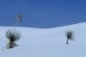 White Sands National Monument, NM, USA