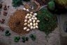 Spices, saturday market, Jinka (1384 m), South Omo Valley, Ethiopia