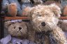 Teddy bears, Sicily, ITALY