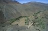 Spanish Juniper (<em>Juniperus thurifera</em>), Tiz’n Tichka (2260 m), MOROCCO