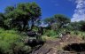 North of Seronera, Serengeti NP, TANZANIA